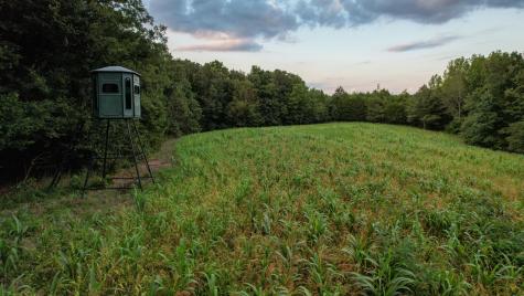 1651 Yellow Creek Dickson TN 37055