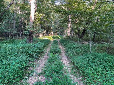 1651 Yellow Creek Dickson TN 37055