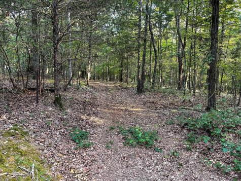 1651 Yellow Creek Dickson TN 37055