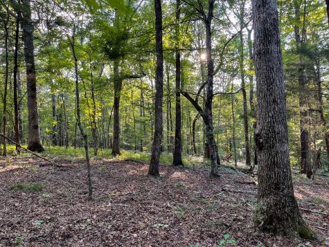 1651 Yellow Creek Dickson TN 37055