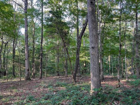 1651 Yellow Creek Dickson TN 37055