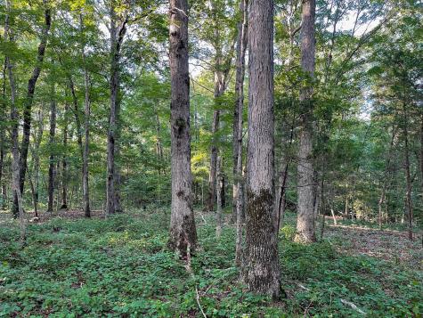 1651 Yellow Creek Dickson TN 37055