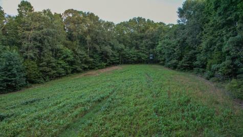 1651 Yellow Creek Dickson TN 37055