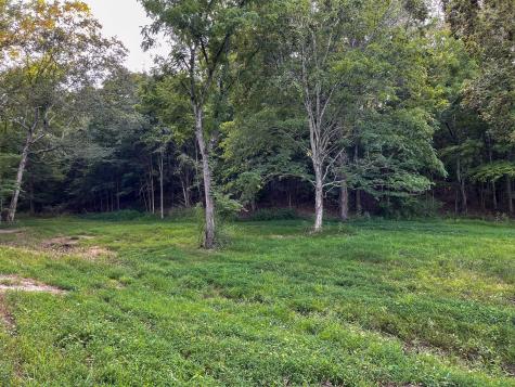1651 Yellow Creek Dickson TN 37055