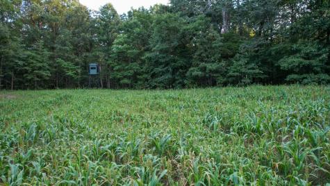 1651 Yellow Creek Dickson TN 37055