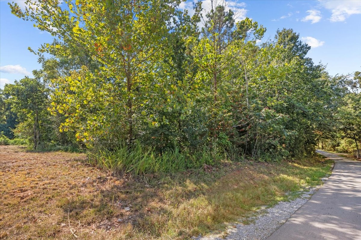 107 Young Road Waverly TN 37185
