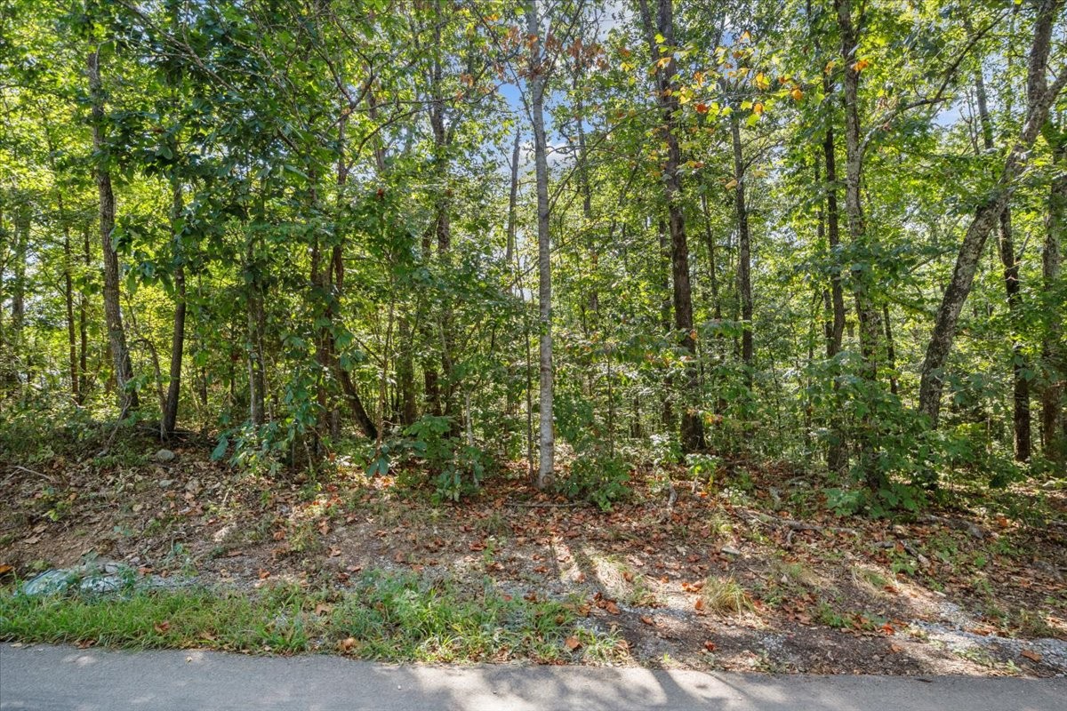107 Young Road Waverly TN 37185