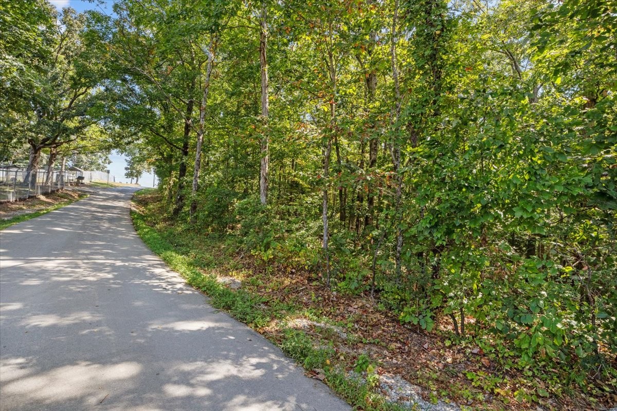 107 Young Road Waverly TN 37185