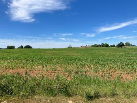 0 Wilder Road Hillsboro TN 37342