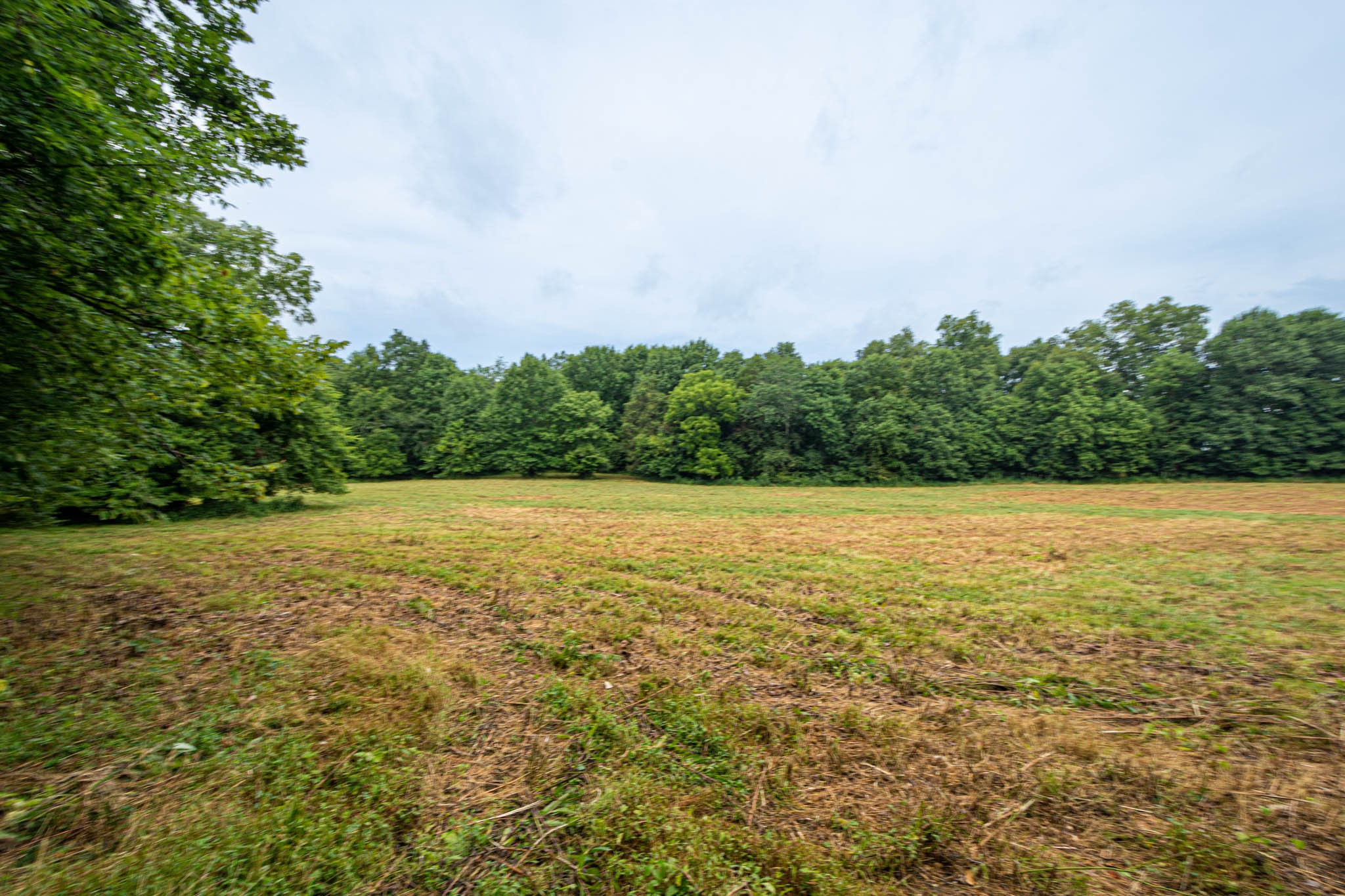 0 Joe Gulley Road Pulaski TN 38478