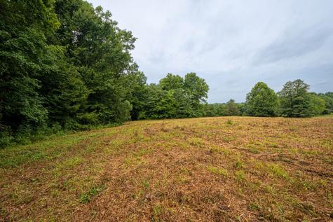 0 Joe Gulley Road Pulaski TN 38478