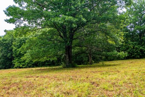 0 Joe Gulley Road Pulaski TN 38478