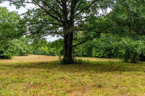 0 Joe Gulley Road Pulaski TN 38478