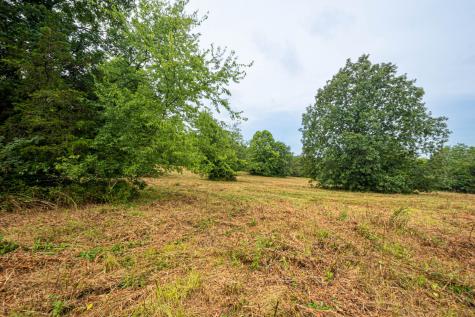 0 Joe Gulley Road Pulaski TN 38478