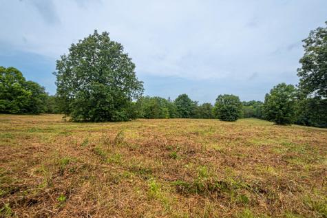 0 Joe Gulley Road Pulaski TN 38478