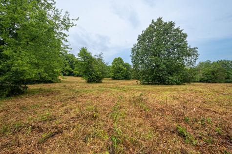 0 Joe Gulley Road Pulaski TN 38478
