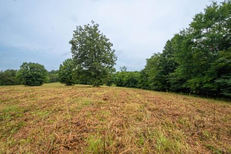 0 Joe Gulley Road Pulaski TN 38478