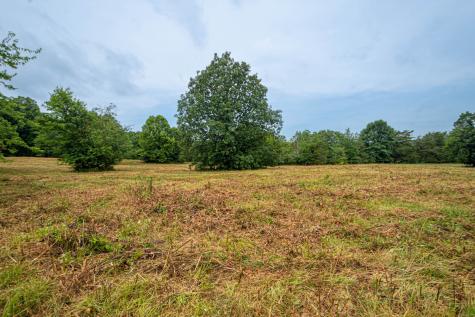 0 Joe Gulley Road Pulaski TN 38478