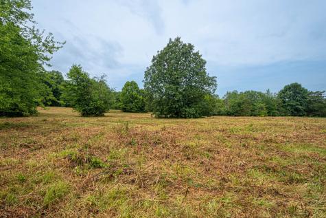 0 Joe Gulley Road Pulaski TN 38478