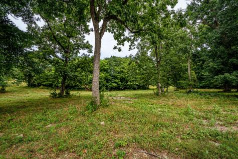 0 Joe Gulley Road Pulaski TN 38478