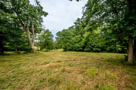 0 Joe Gulley Road Pulaski TN 38478