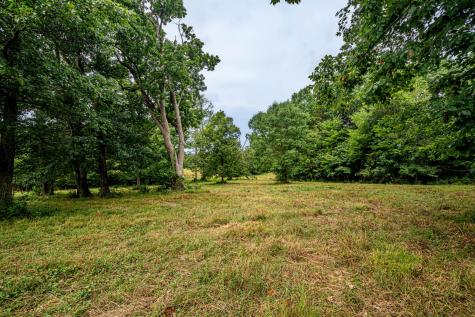 0 Joe Gulley Road Pulaski TN 38478