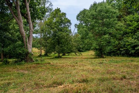 0 Joe Gulley Road Pulaski TN 38478