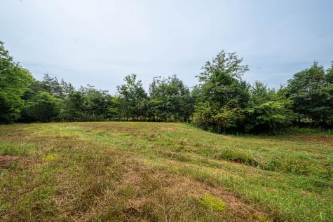 0 Joe Gulley Road Pulaski TN 38478
