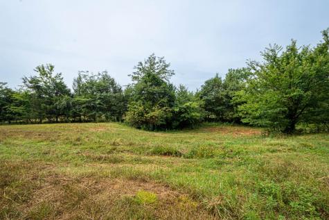 0 Joe Gulley Road Pulaski TN 38478
