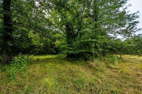 0 Joe Gulley Road Pulaski TN 38478