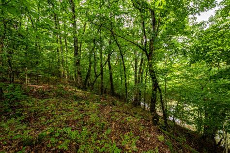 0 Joe Gulley Road Pulaski TN 38478