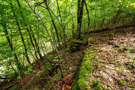 0 Joe Gulley Road Pulaski TN 38478