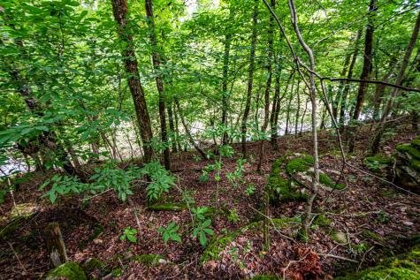 0 Joe Gulley Road Pulaski TN 38478