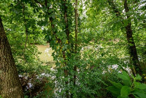 0 Joe Gulley Road Pulaski TN 38478