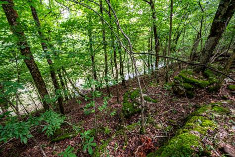 0 Joe Gulley Road Pulaski TN 38478