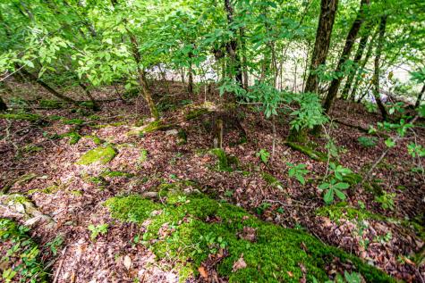 0 Joe Gulley Road Pulaski TN 38478