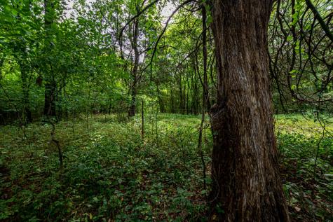 0 Joe Gulley Road Pulaski TN 38478