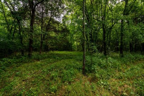 0 Joe Gulley Road Pulaski TN 38478