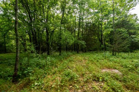 0 Joe Gulley Road Pulaski TN 38478