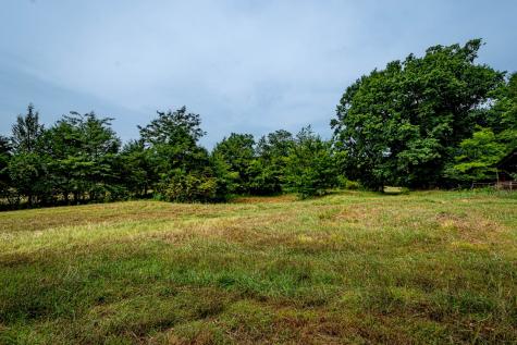 0 Joe Gulley Road Pulaski TN 38478