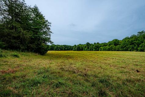 0 Joe Gulley Road Pulaski TN 38478