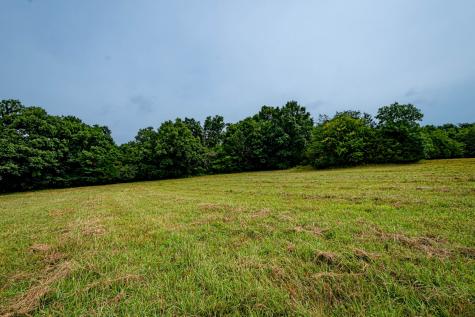 0 Joe Gulley Road Pulaski TN 38478