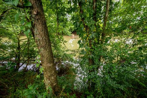 0 Joe Gulley Road Pulaski TN 38478