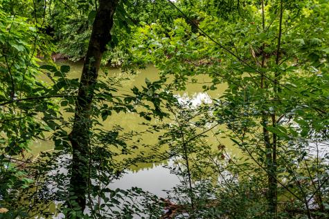 0 Joe Gulley Road Pulaski TN 38478