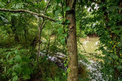 0 Joe Gulley Road Pulaski TN 38478