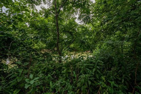 0 Joe Gulley Road Pulaski TN 38478