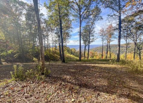 390 Volunteer Street Jasper TN 37347