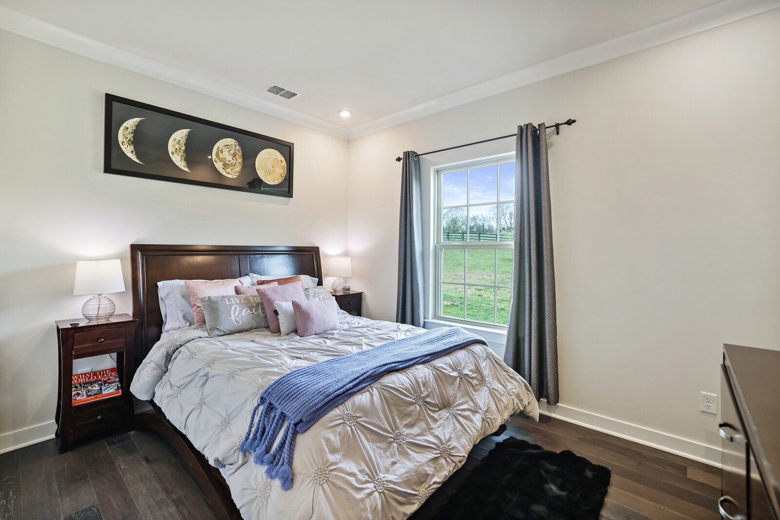 9116 Barred Owl Drive Franklin TN 37067