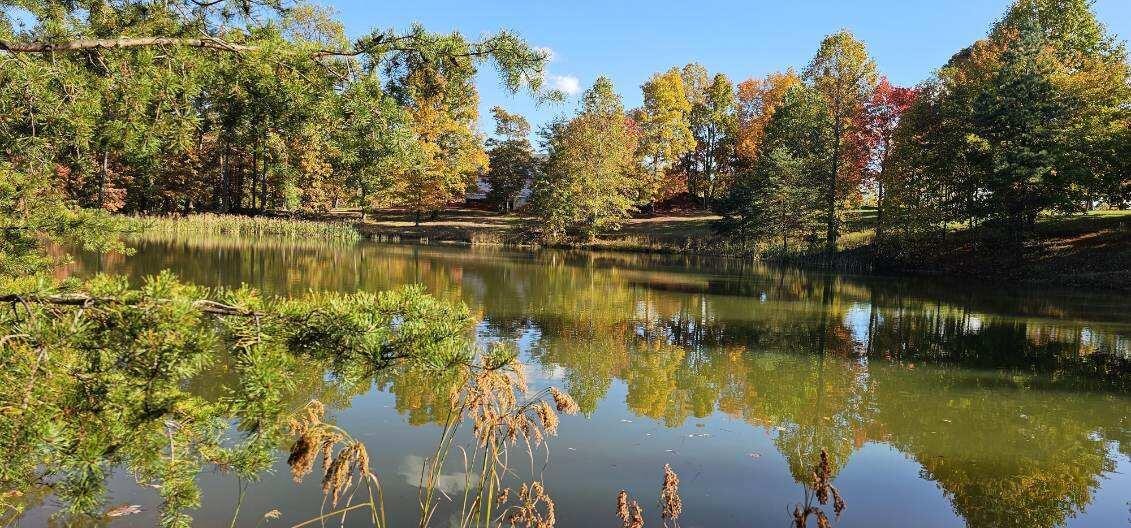 515 Wilderness Way Dunlap TN 37327