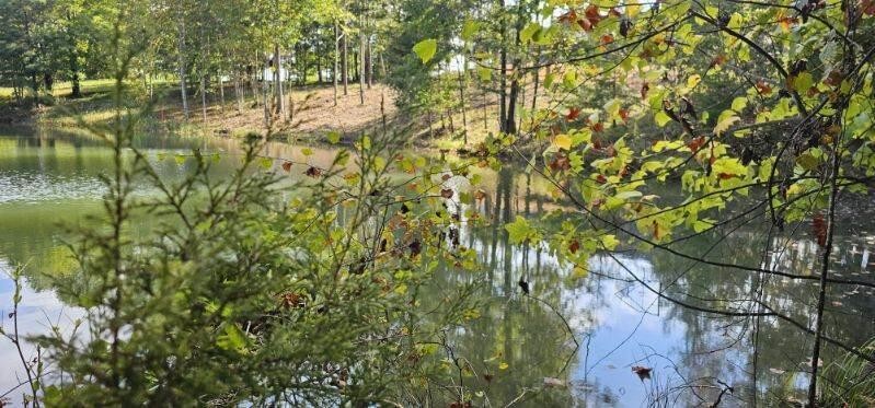 515 Wilderness Way Dunlap TN 37327